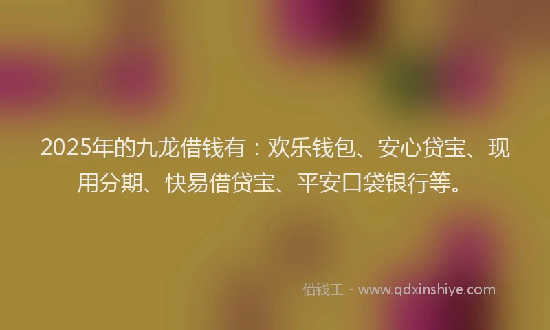 2025年的九龙借钱有：欢乐钱包、安心贷宝、现用分期、快易借贷宝、平安口袋银行等。