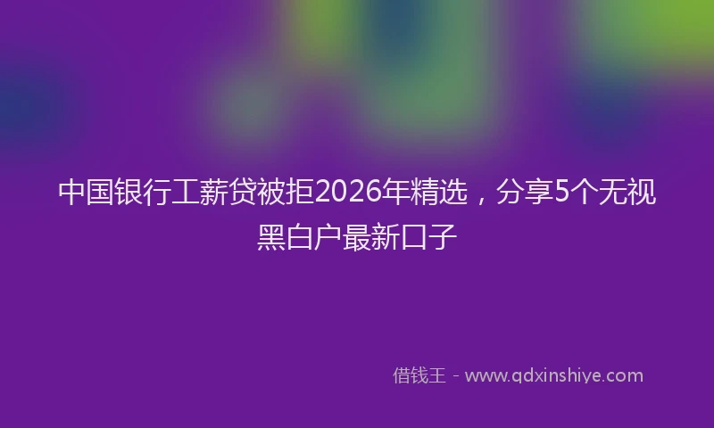 中国银行工薪贷被拒2026年精选，分享5个无视黑白户最新口子
