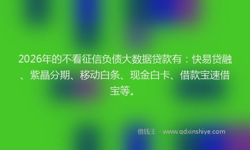 2026年的不看征信负债大数据贷款有:快易贷融、紫晶分期、移动白条、现金白卡、借款宝速借宝等。
