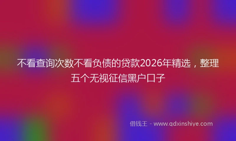 不看查询次数不看负债的贷款2026年精选，整理五个无视征信黑户口子