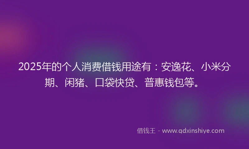 2025年的个人消费借钱用途有：安逸花、小米分期、闲猪、口袋快贷、普惠钱包等。