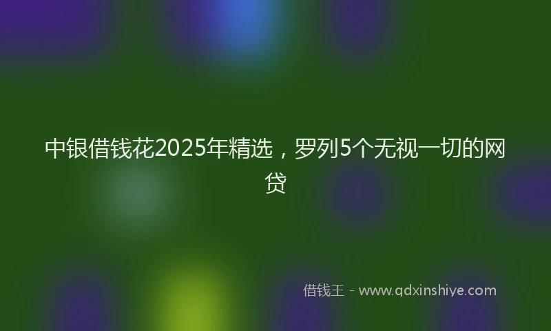 中银借钱花2025年精选，罗列5个无视一切的网贷