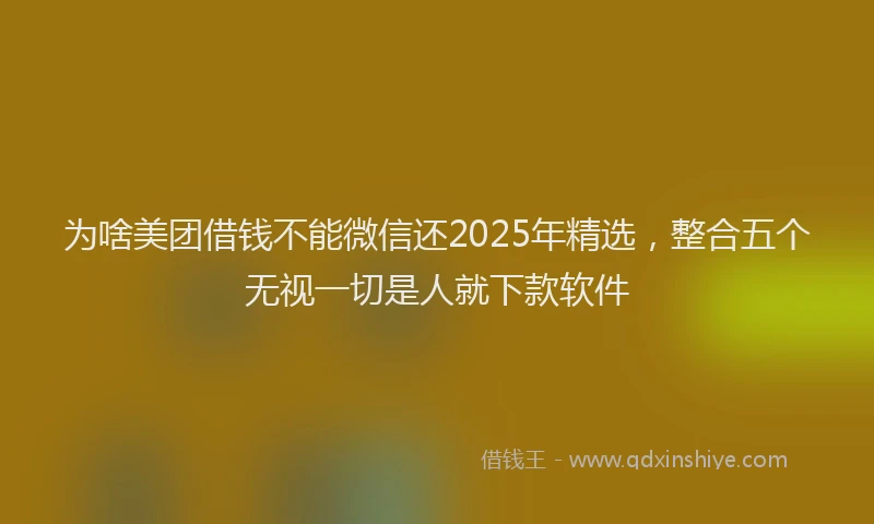 为啥美团借钱不能微信还2025年精选，整合五个无视一切是人就下款软件