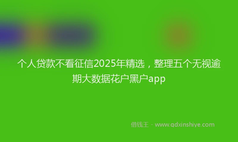 个人贷款不看征信2025年精选，整理五个无视逾期大数据花户黑户app