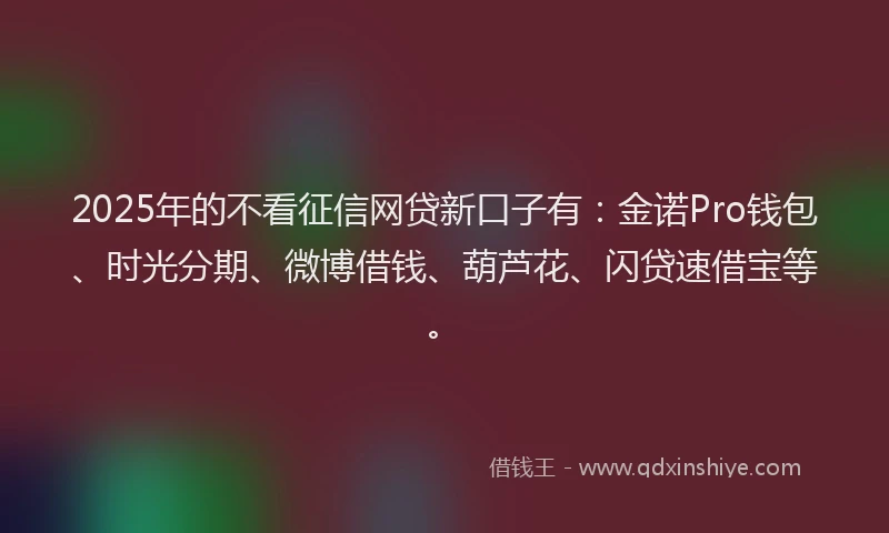 2025年的不看征信网贷新口子有：金诺Pro钱包、时光分期、微博借钱、葫芦花、闪贷速借宝等。