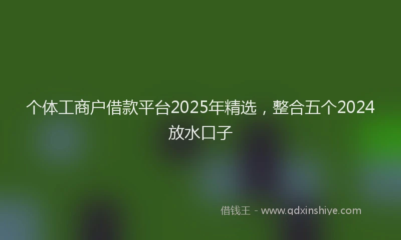 个体工商户借款平台2025年精选，整合五个2024放水口子