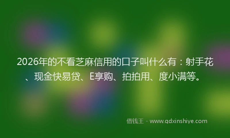 2026年的不看芝麻信用的口子叫什么有：射手花、现金快易贷、E享购、拍拍用、度小满等。