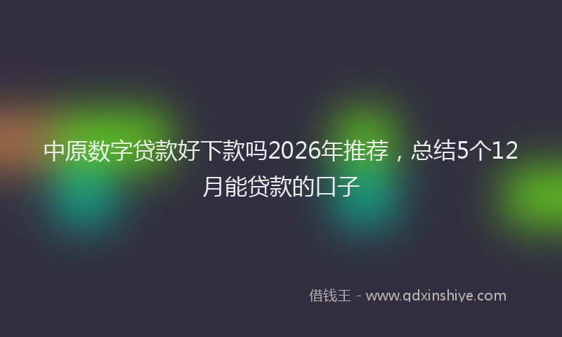 中原数字贷款好下款吗2026年推荐，总结5个12月能贷款的口子