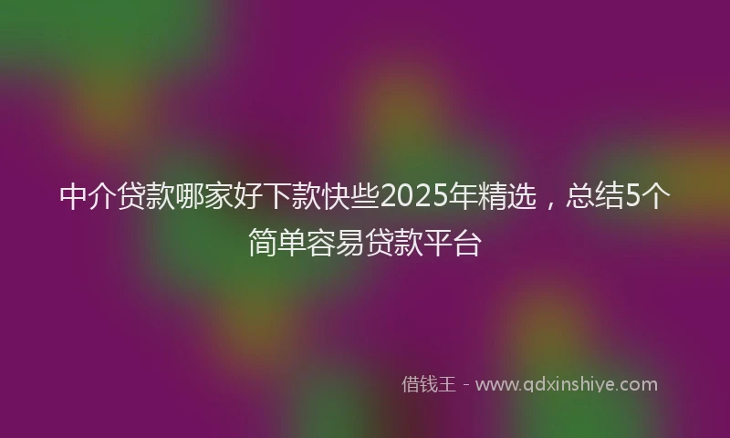 中介贷款哪家好下款快些2025年精选，总结5个简单容易贷款平台