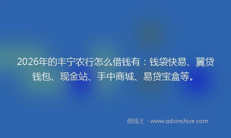 2026年的丰宁农行怎么借钱有:钱袋快易、翼贷钱包、现金站、手中商城、易贷宝盒等。
