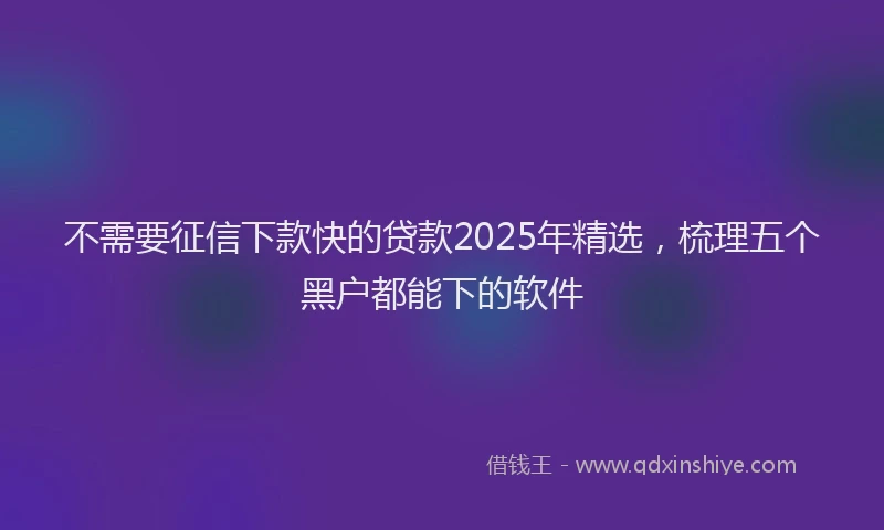 不需要征信下款快的贷款2025年精选，梳理五个黑户都能下的软件