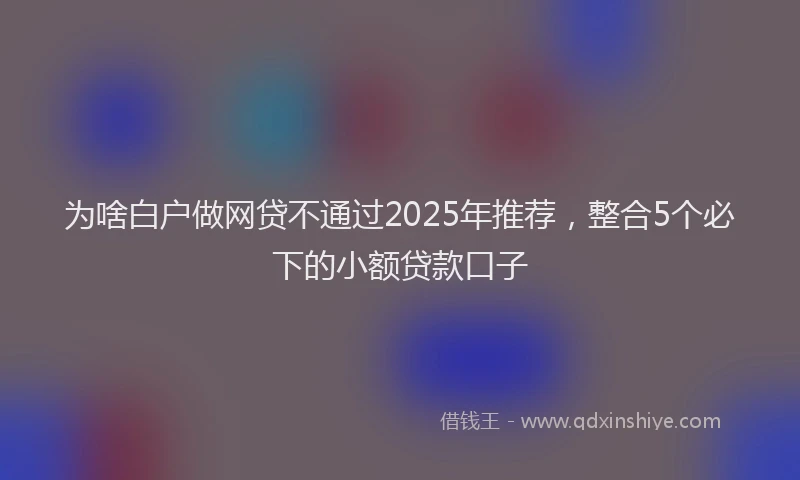 为啥白户做网贷不通过2025年推荐，整合5个必下的小额贷款口子