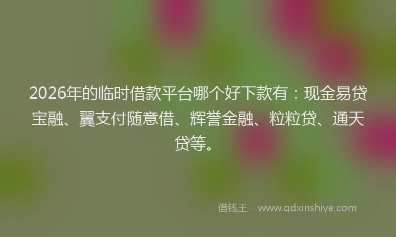 2026年的临时借款平台哪个好下款有：现金易贷宝融、翼支付随意借、辉誉金融、粒粒贷、通天贷等。