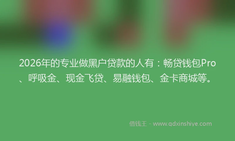 2026年的专业做黑户贷款的人有：畅贷钱包Pro、呼吸金、现金飞贷、易融钱包、金卡商城等。