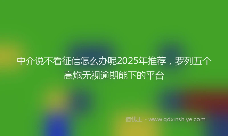 中介说不看征信怎么办呢2025年推荐，罗列五个高炮无视逾期能下的平台