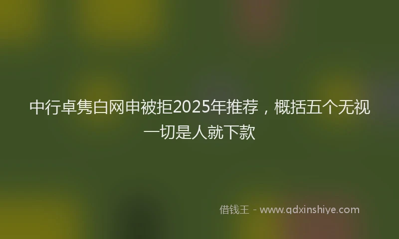 中行卓隽白网申被拒2025年推荐，概括五个无视一切是人就下款