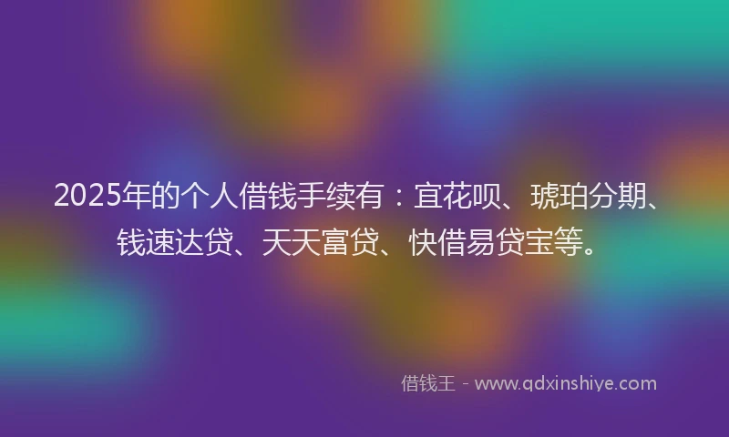 2025年的个人借钱手续有：宜花呗、琥珀分期、钱速达贷、天天富贷、快借易贷宝等。