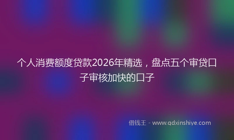 个人消费额度贷款2026年精选,盘点五个审贷口子审核加快的口子