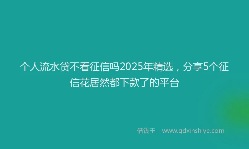 个人流水贷不看征信吗2025年精选，分享5个征信花居然都下款了的平台