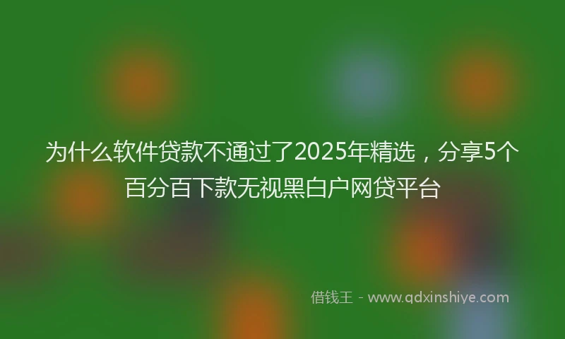 为什么软件贷款不通过了2025年精选，分享5个百分百下款无视黑白户网贷平台