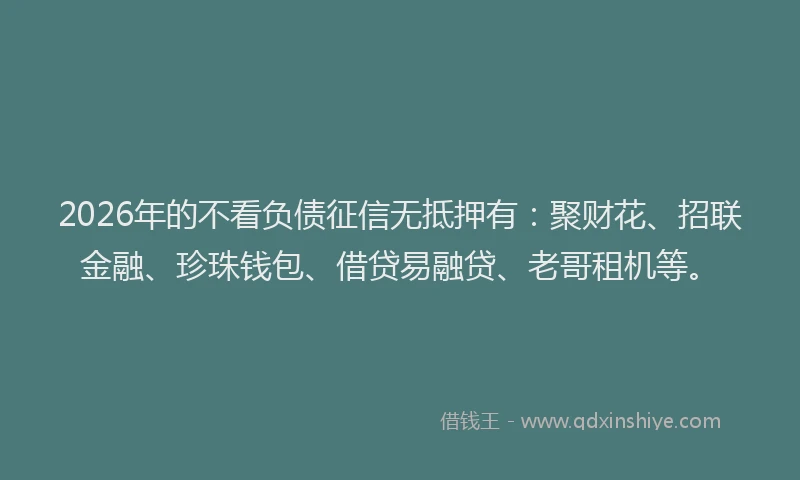 2026年的不看负债征信无抵押有：聚财花、招联金融、珍珠钱包、借贷易融贷、老哥租机等。