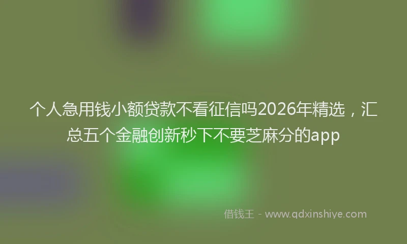 个人急用钱小额贷款不看征信吗2026年精选，汇总五个金融创新秒下不要芝麻分的app