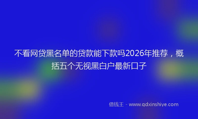 不看网贷黑名单的贷款能下款吗2026年推荐，概括五个无视黑白户最新口子