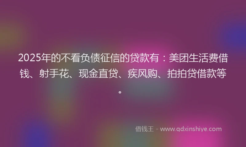 2025年的不看负债征信的贷款有：美团生活费借钱、射手花、现金直贷、疾风购、拍拍贷借款等。