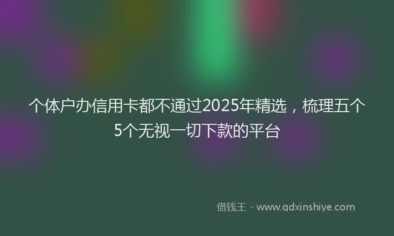 个体户办信用卡都不通过2025年精选，梳理五个5个无视一切下款的平台
