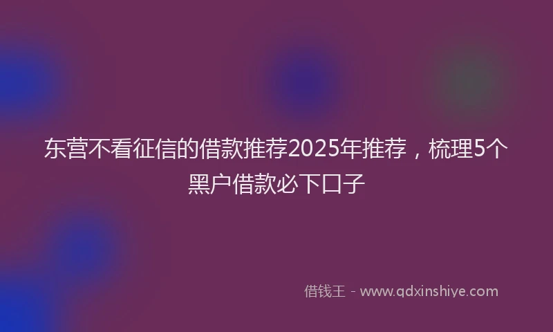 东营不看征信的借款推荐2025年推荐,梳理5个黑户借款必下口子