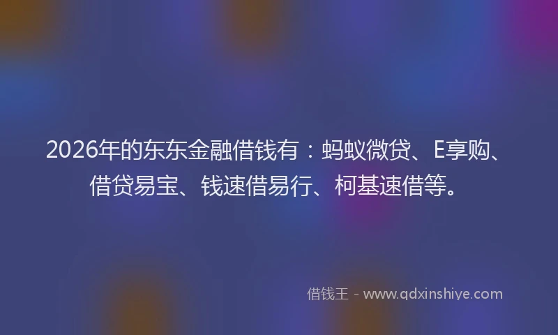 2026年的东东金融借钱有:蚂蚁微贷、E享购、借贷易宝、钱速借易行、柯基速借等。