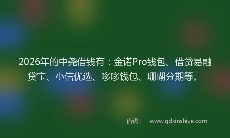 2026年的中尧借钱有：金诺Pro钱包、借贷易融贷宝、小信优选、哆哆钱包、珊瑚分期等。