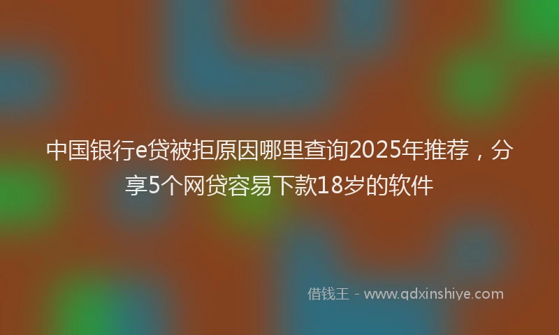 中国银行e贷被拒原因哪里查询2025年推荐，分享5个网贷容易下款18岁的软件