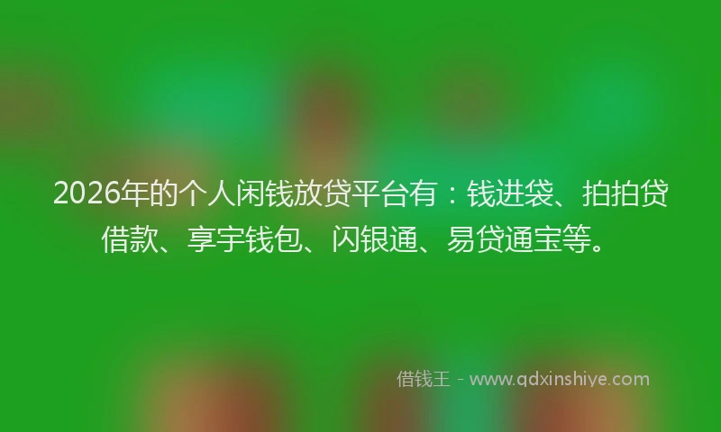 2026年的个人闲钱放贷平台有：钱进袋、拍拍贷借款、享宇钱包、闪银通、易贷通宝等。