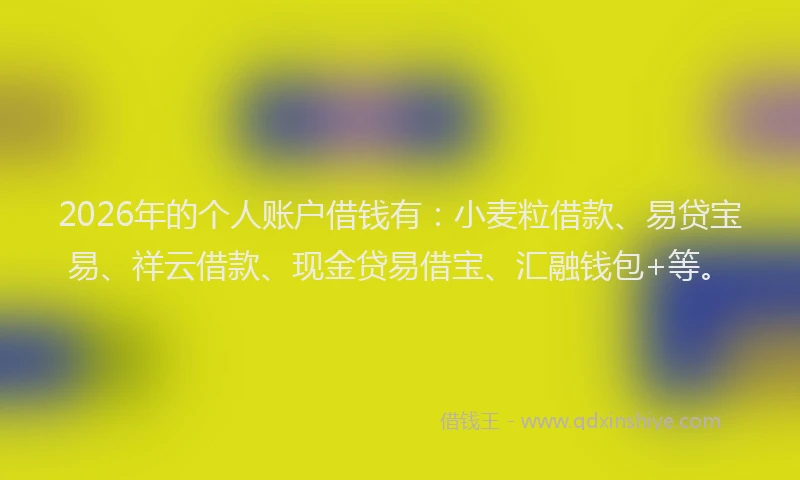 2026年的个人账户借钱有：小麦粒借款、易贷宝易、祥云借款、现金贷易借宝、汇融钱包+等。