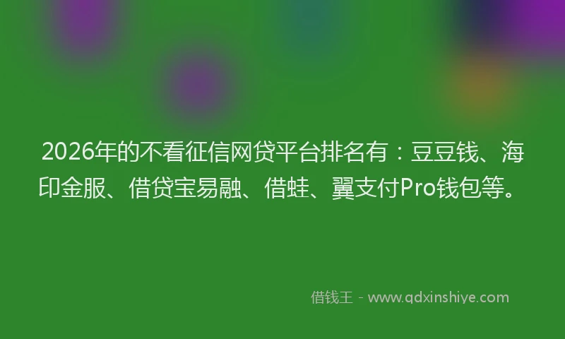 2026年的不看征信网贷平台排名有:豆豆钱、海印金服、借贷宝易融、借蛙、翼支付Pro钱包等。