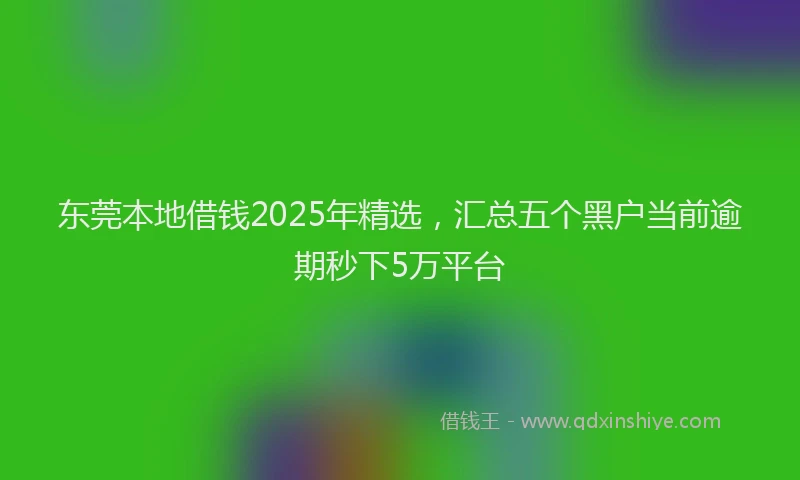 东莞本地借钱2025年精选，汇总五个黑户当前逾期秒下5万平台