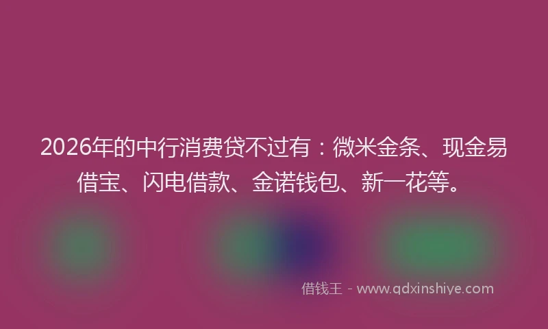 2026年的中行消费贷不过有：微米金条、现金易借宝、闪电借款、金诺钱包、新一花等。