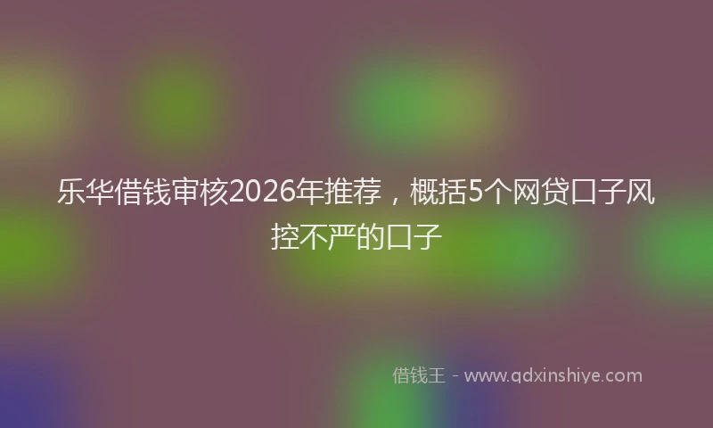 乐华借钱审核2026年推荐,概括5个网贷口子风控不严的口子
