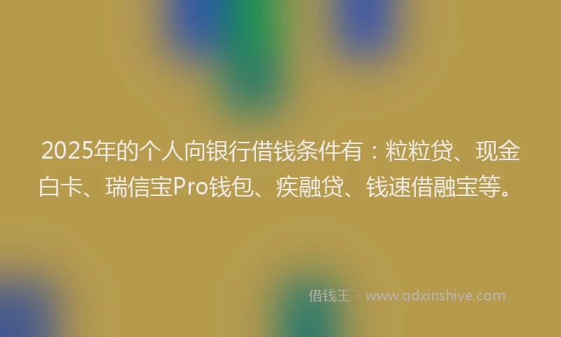 2025年的个人向银行借钱条件有：粒粒贷、现金白卡、瑞信宝Pro钱包、疾融贷、钱速借融宝等。