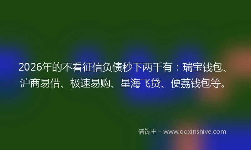 2026年的不看征信负债秒下两千有：瑞宝钱包、沪商易借、极速易购、星海飞贷、便荔钱包等。