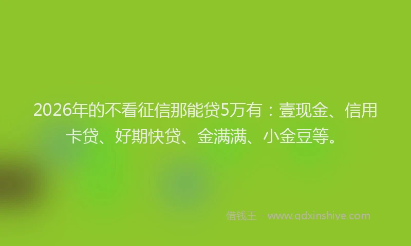 2026年的不看征信那能贷5万有：壹现金、信用卡贷、好期快贷、金满满、小金豆等。