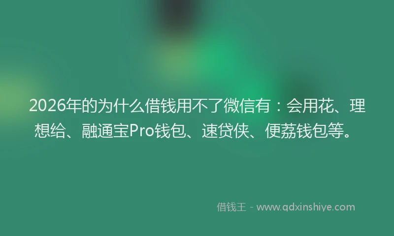 2026年的为什么借钱用不了微信有：会用花、理想给、融通宝Pro钱包、速贷侠、便荔钱包等。