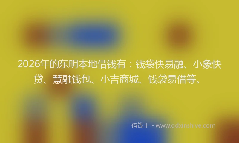 2026年的东明本地借钱有：钱袋快易融、小象快贷、慧融钱包、小吉商城、钱袋易借等。