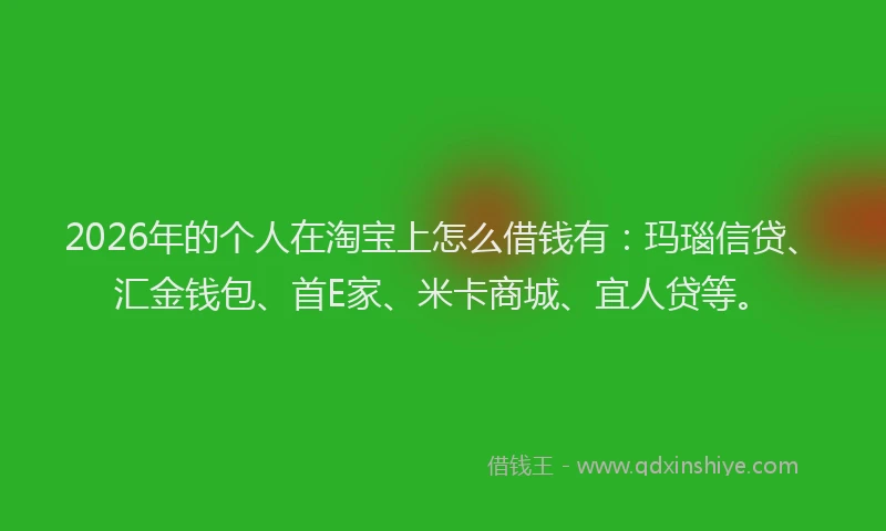 2026年的个人在淘宝上怎么借钱有：玛瑙信贷、汇金钱包、首E家、米卡商城、宜人贷等。