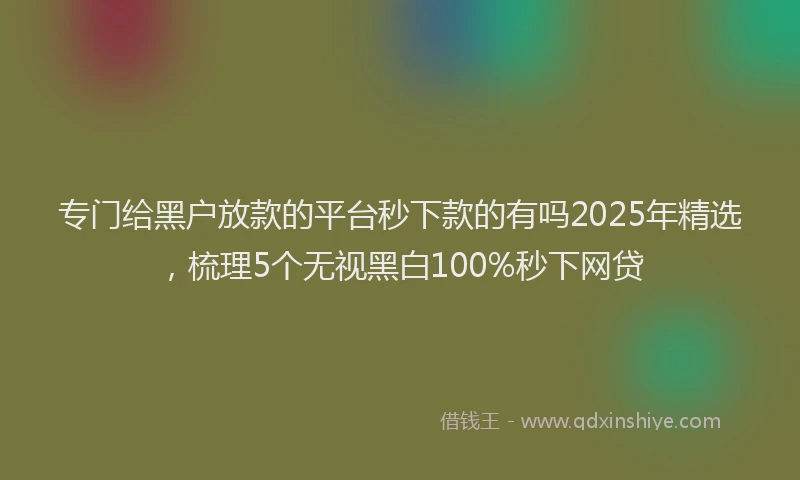 专门给黑户放款的平台秒下款的有吗2025年精选,梳理5个无视黑白100%秒下网贷