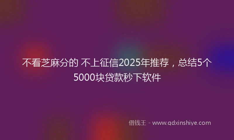 不看芝麻分的 不上征信2025年推荐，总结5个5000块贷款秒下软件