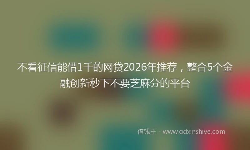 不看征信能借1千的网贷2026年推荐，整合5个金融创新秒下不要芝麻分的平台