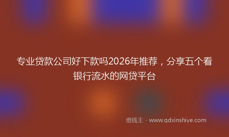 专业贷款公司好下款吗2026年推荐，分享五个看银行流水的网贷平台