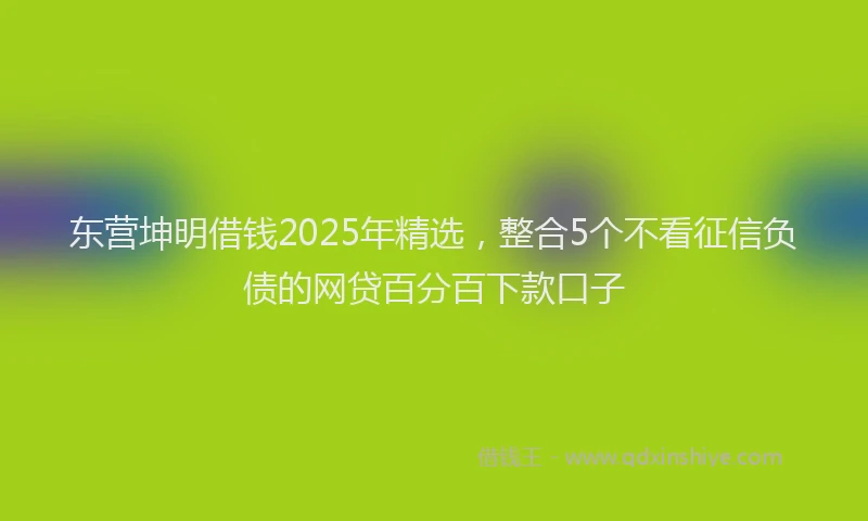 东营坤明借钱2025年精选，整合5个不看征信负债的网贷百分百下款口子